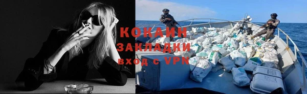эйфоретик Вяземский