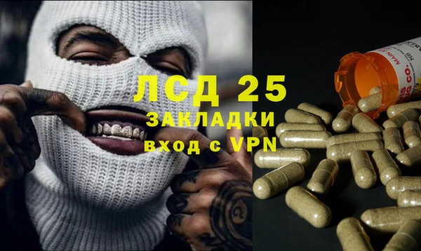 эйфоретик Вяземский