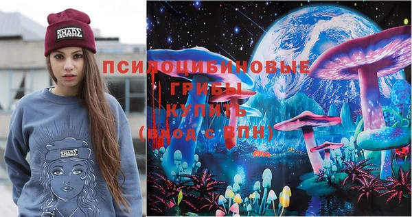 эйфоретик Вяземский