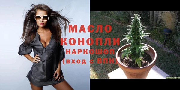 эйфоретик Вяземский