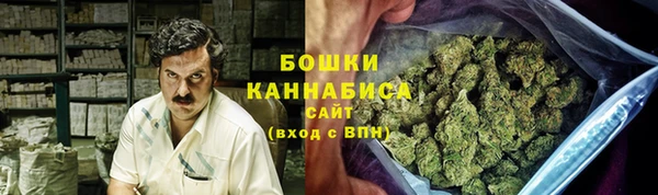 эйфоретик Вяземский
