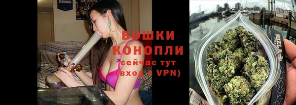 эйфоретик Вяземский