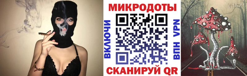 Галлюциногенные грибы Psilocybe  Дорогобуж 