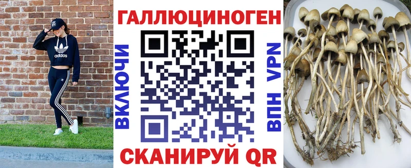 Псилоцибиновые грибы GOLDEN TEACHER Дорогобуж